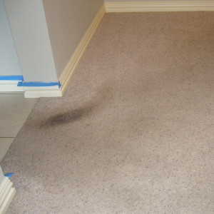 carpet cleaning service long beach dry carpet cleaning - carpet cleaning - dry carpet cleaning power before