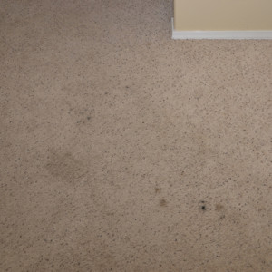 carpet cleaning service long beach- carpet cleaning - dry organic carpet cleaning - stains before