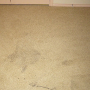 carpet cleaning service long beach dry carpet cleaning - stain before