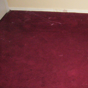 carpet cleaning service long beach dry carpet cleaning - before