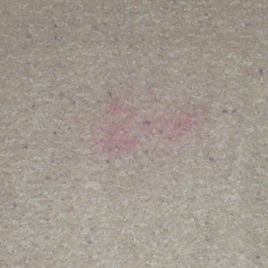 carpet cleaning service long beach dry carpet cleaning - red stain before