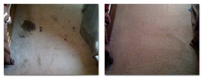 carpet-cleaning-before-after-7
